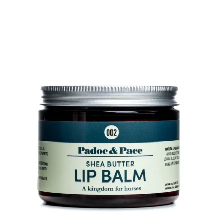 Shea Butter Lip Balm